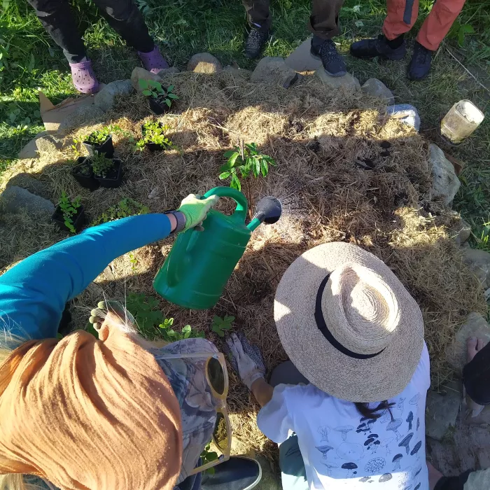 Watering a medlar tree during the PDC at Beyond Buckthorns