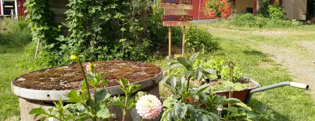 Open Gardens 2026