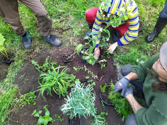 Planting a Food Forest during the PDC at Beyond Buckthorns